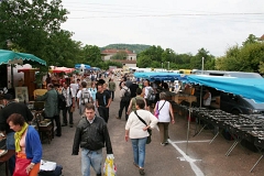 La grande fouille 2007 (40)